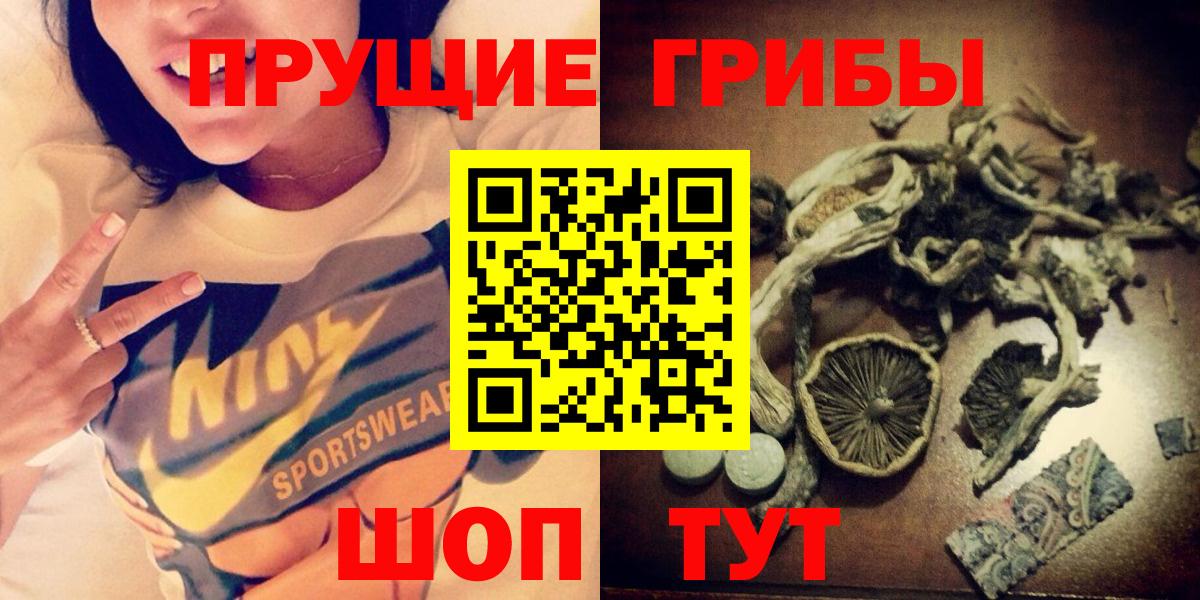 Касимов  Псилоцибиновые грибы Cubensis  Вход с VPN 