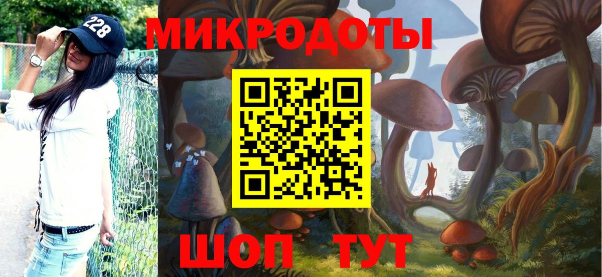 Псилоцибиновые грибы Psilocybe Касимов